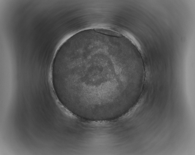 X0000111420952200907201045