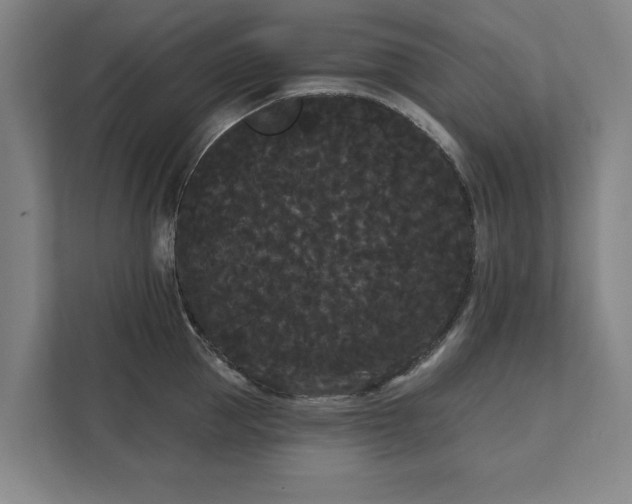 X0000111420953200907201045