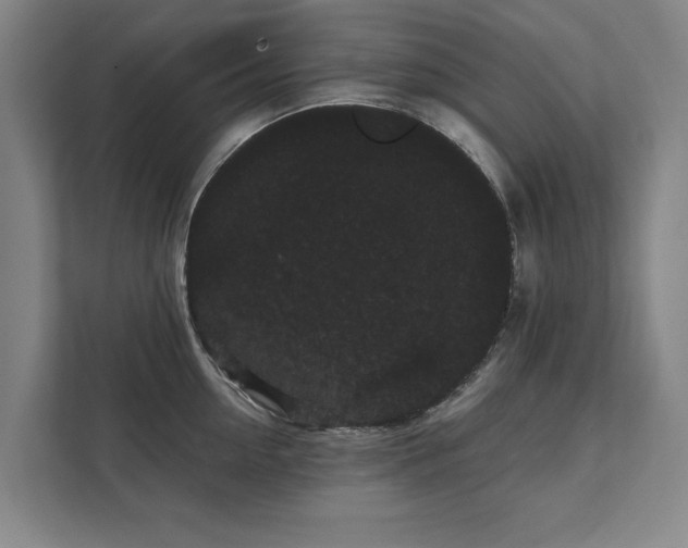 X0000111420954200907201045