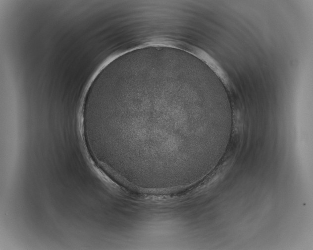 X0000111420955200907201045