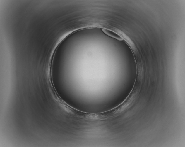 X0000111420956200907201045