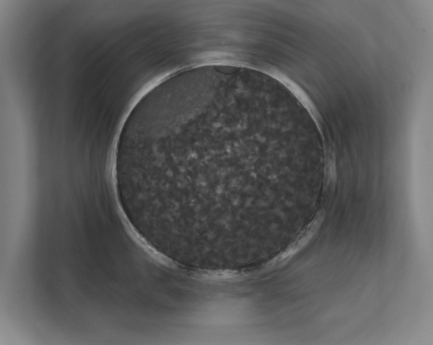 X0000111420957200907201045