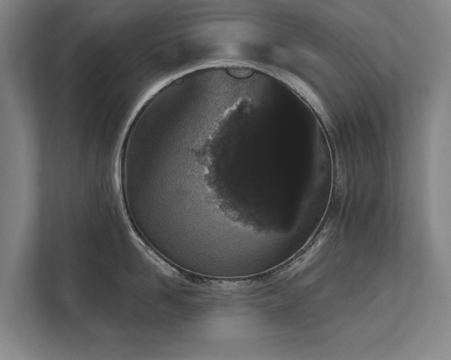 X0000111420958200907201045