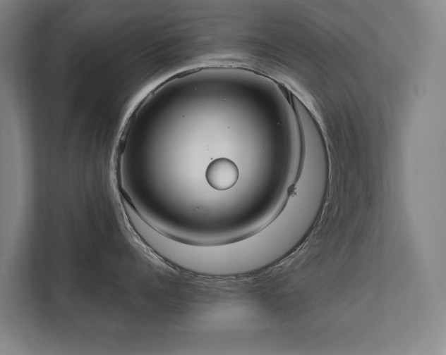 X0000111420960200907201045