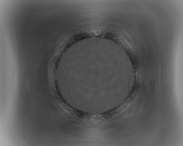 X0000111420961200907201044