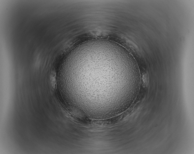 X0000111420963200907201044