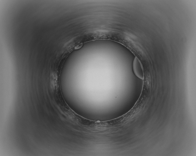 X0000111420964200907201044