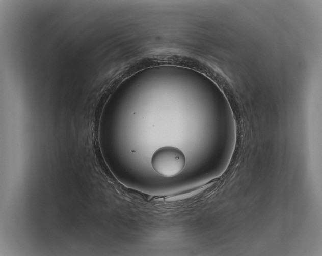 X0000111420965200907201044