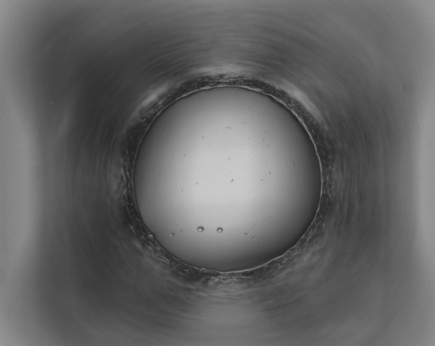 X0000111420967200907201044