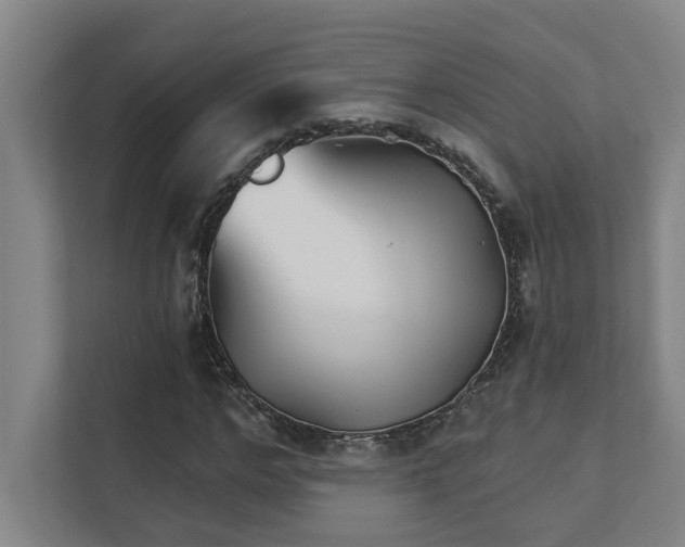 X0000111420968200907201044