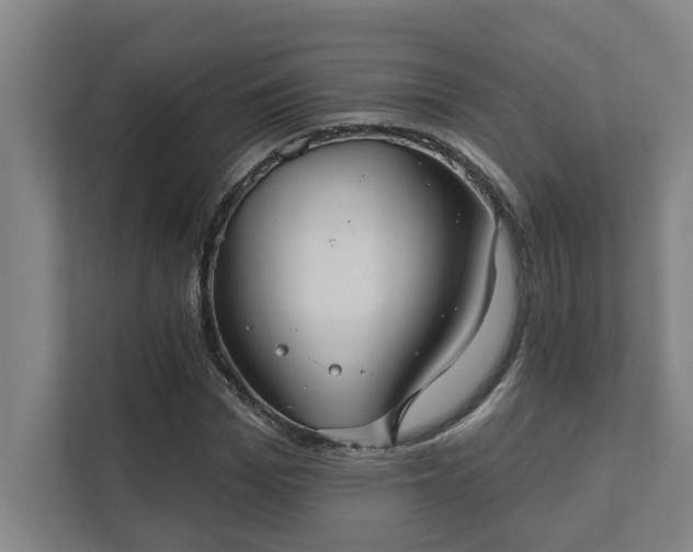 X0000111420969200907201044