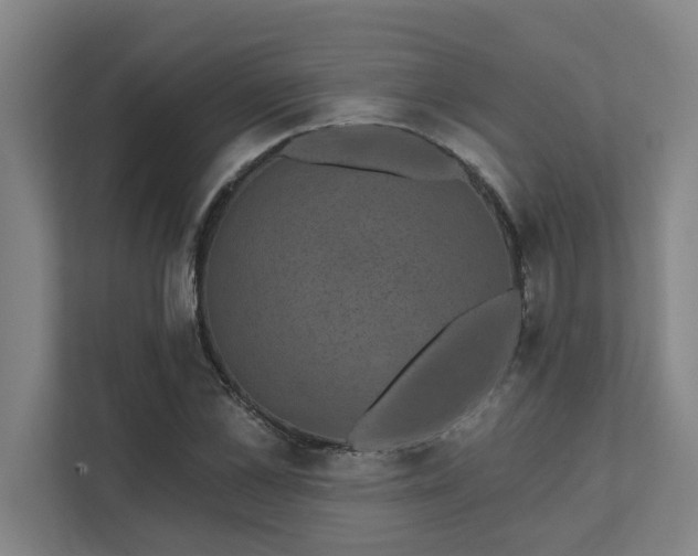 X0000111420973200907201044