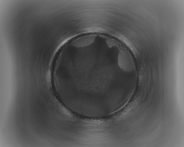 X0000111420975200907201044