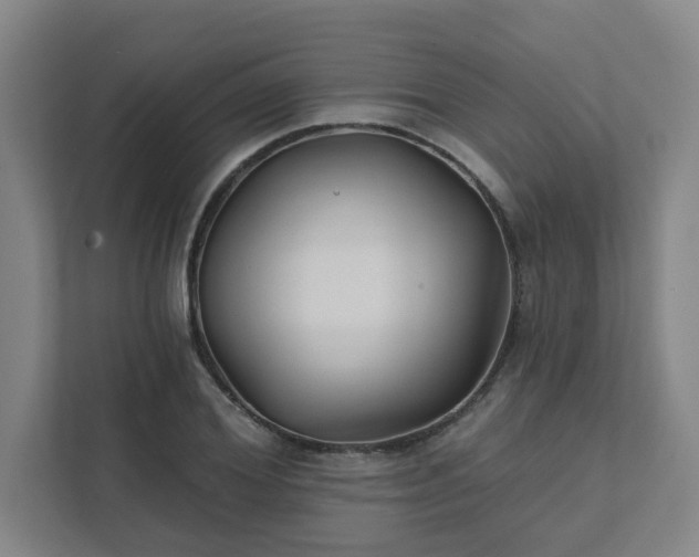 X0000111420980200907201044