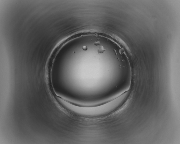 X0000111420981200907201044