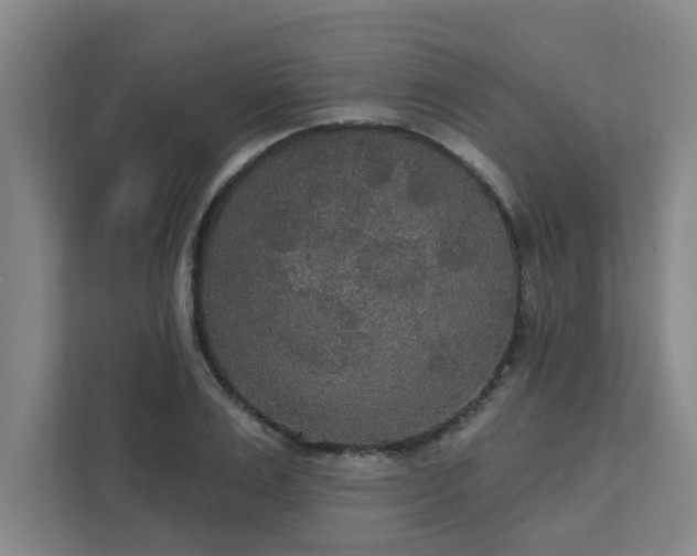 X0000111420983200907201044