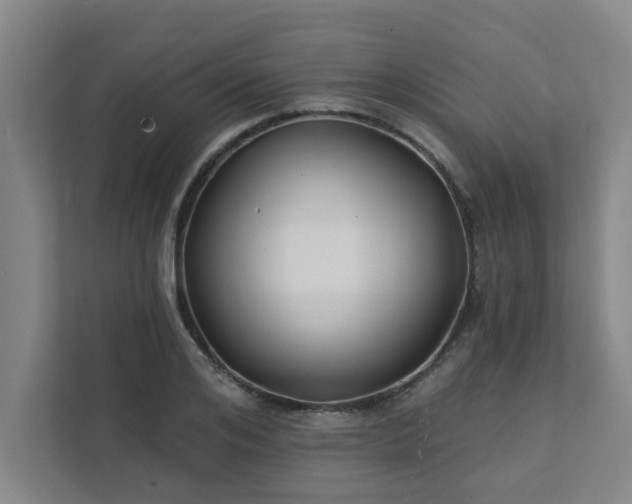 X0000111420984200907201044