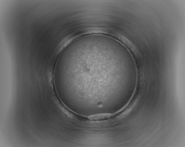 X0000111420985200907201044