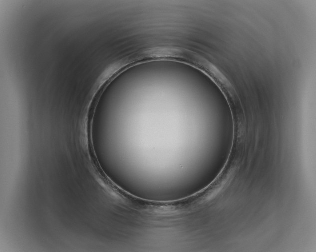 X0000111420986200907201044