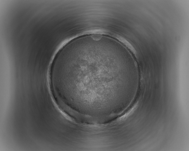 X0000111420989200907201044