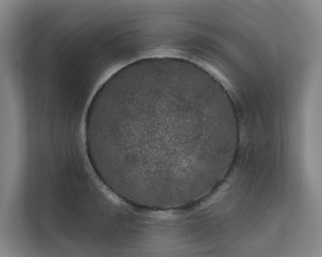 X0000111420990200907201044