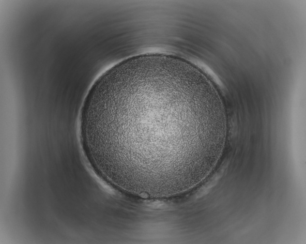 X0000111420991200907201044