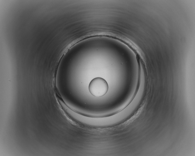 X0000111420993200907201044