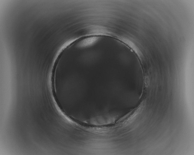 X0000111420995200907201044