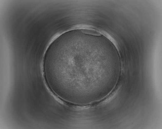 X0000111420997200907201044