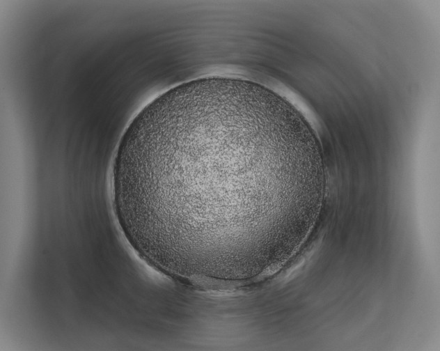 X0000111420999200907201044