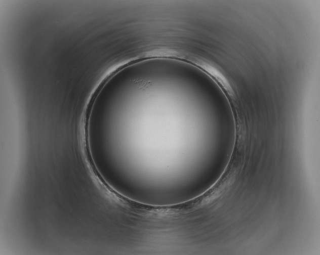 X0000111421000200907201044