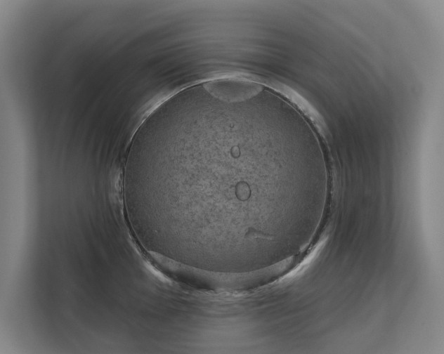 X0000111421001200907201044