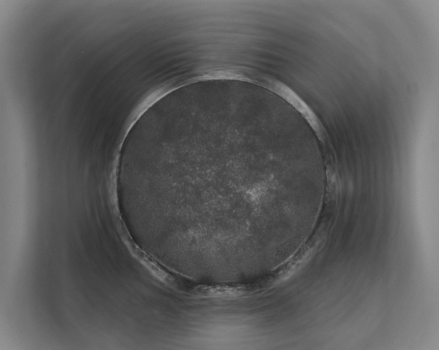 X0000111421002200907201044