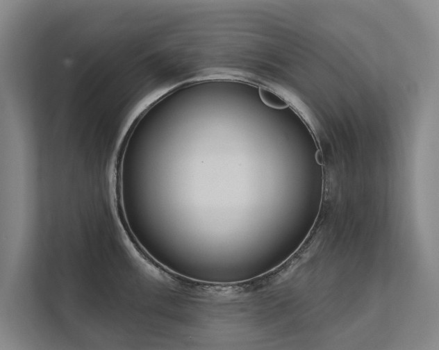 X0000111421003200907201044