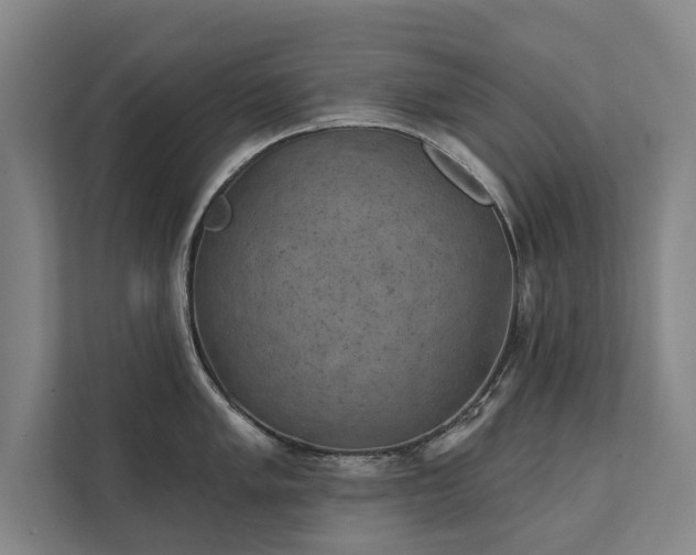 X0000111421005200907201044