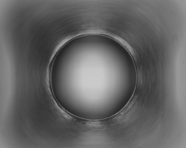 X0000111421006200907201044