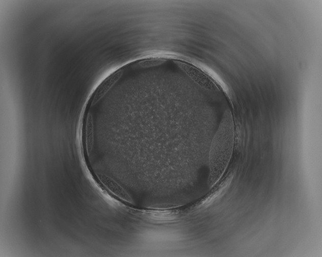 X0000111421007200907201044