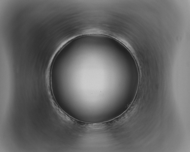 X0000111421008200907201044