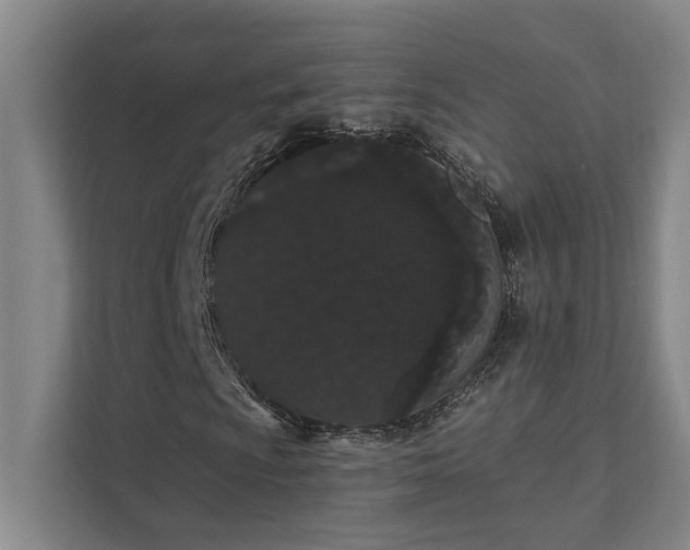 X0000111421009200907201043