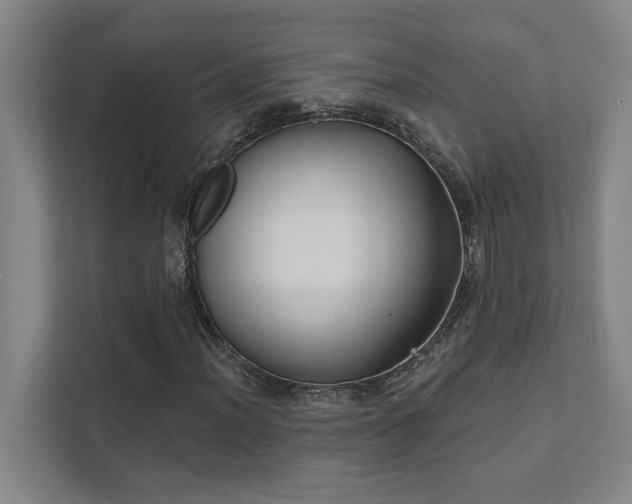 X0000111421012200907201043