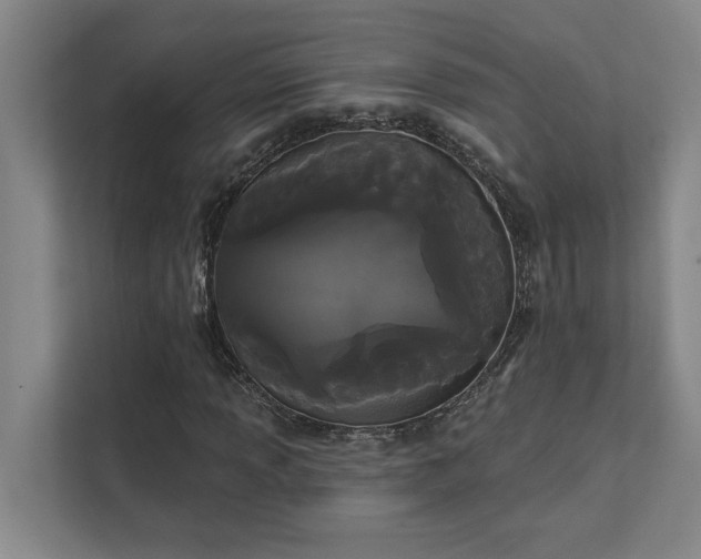 X0000111421013200907201043