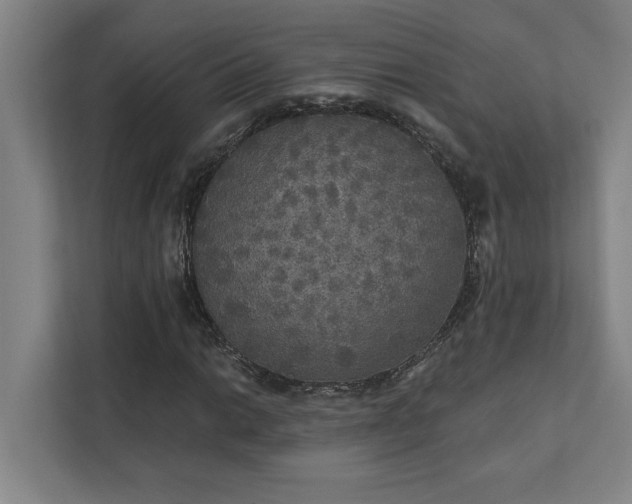 X0000111421014200907201043