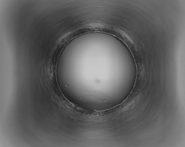 X0000111421016200907201043