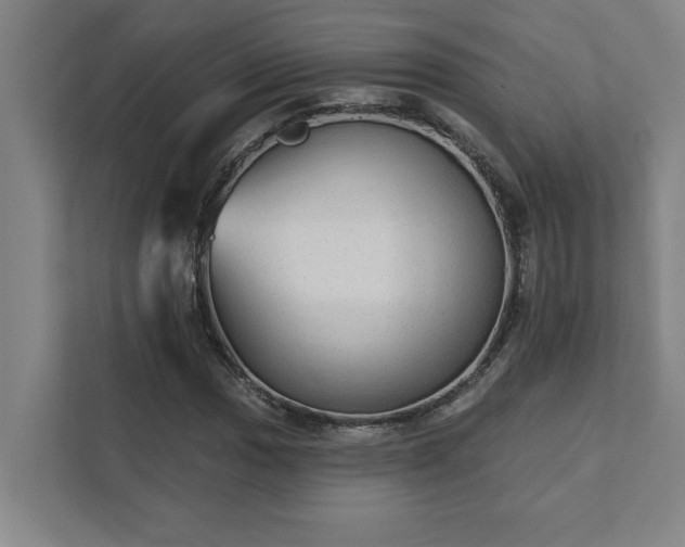 X0000111421017200907201043