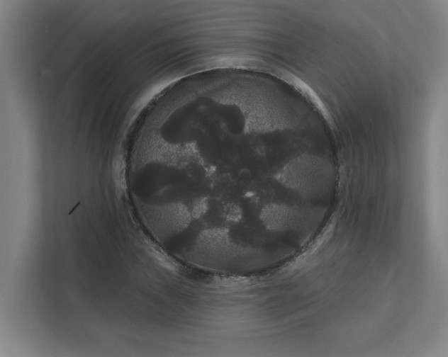 X0000111421019200907201043