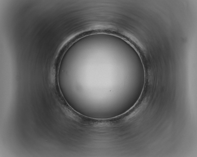 X0000111421021200907201043