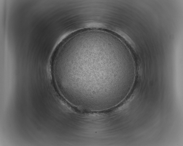 X0000111421022200907201043