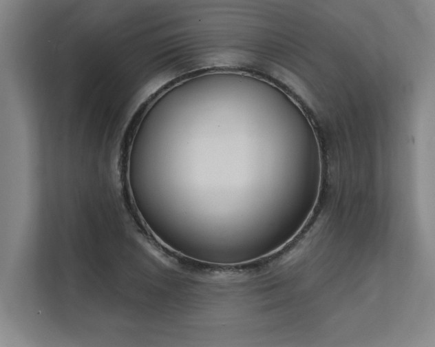 X0000111421026200907201043