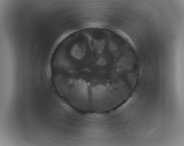 X0000111421027200907201043