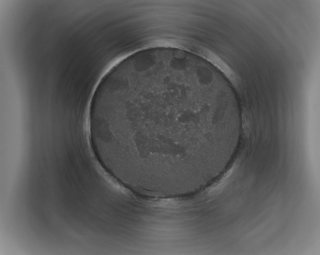 X0000111421028200907201043